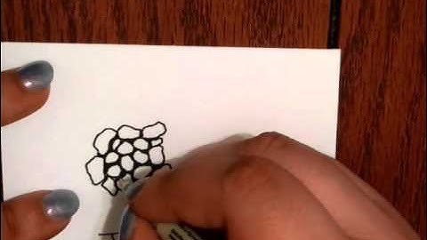 Tangle Tutorial - Tipple