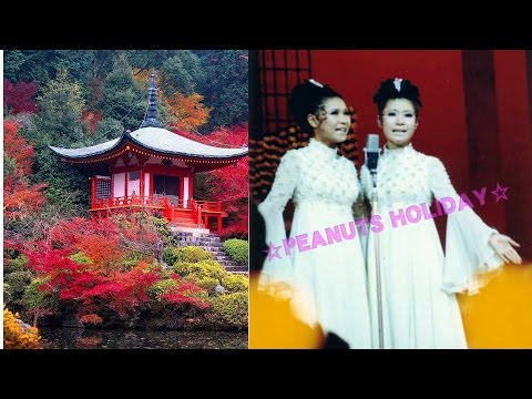 ザ • ピーナッツ, ブルーレディーに紅バラを