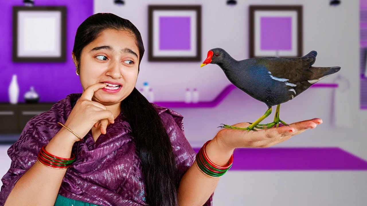 Exotic Taste Test: Trying Moorhen & Coconut Water for the First Time!