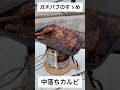【Gaobabu ガオバブ】キャリボ風防✖️中落ちカルビ