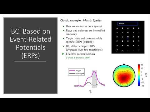 L2: How does a BCI work?