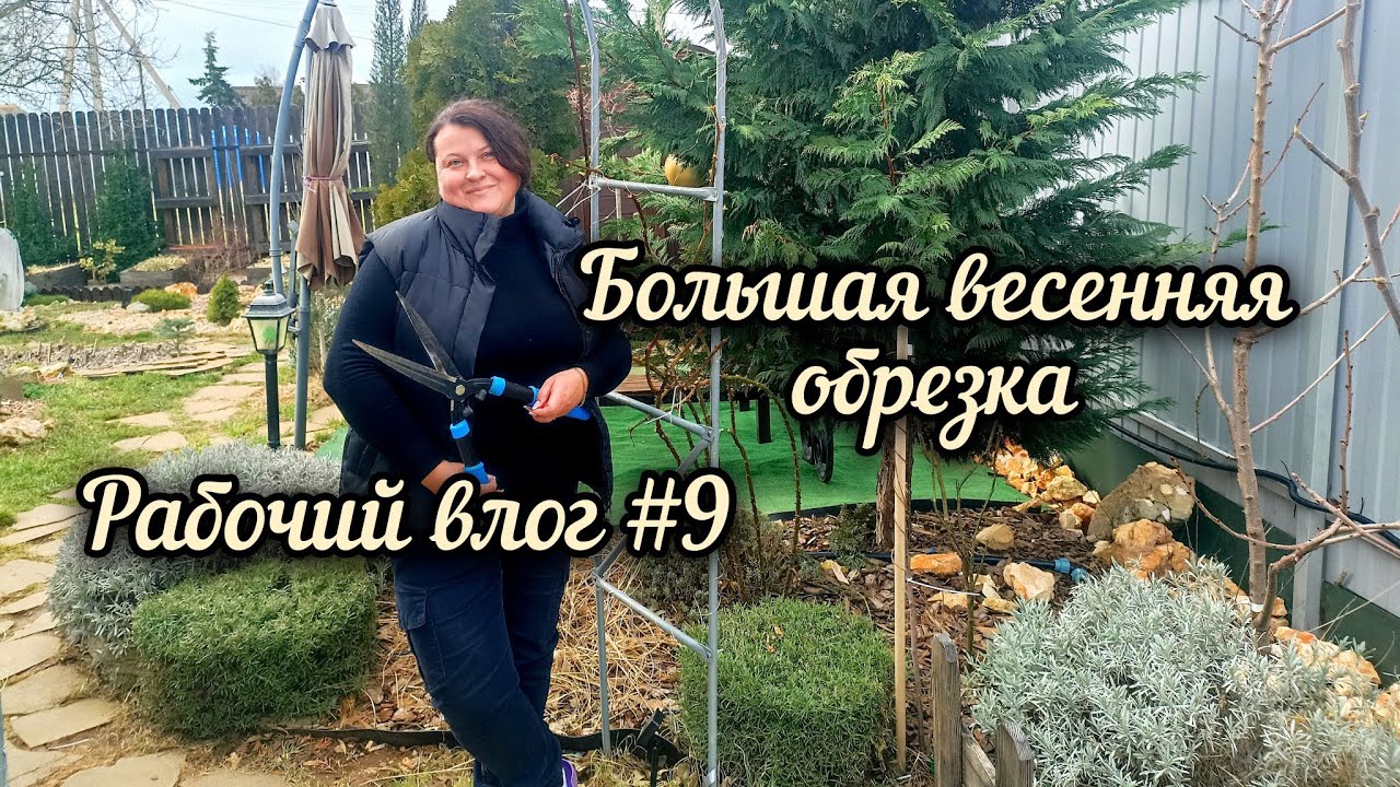 Большая стрижка. Начало садового сезона 2026 . Обрезка роз и злаков.