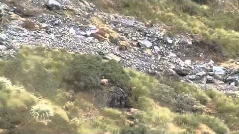 Art of camouflage and concealment