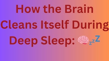 How the Brain Cleans Itself During Deep Sleep: The Glymphatic System Explained 🧠💤