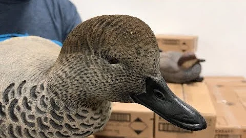 Gadwall Decoy Comparison Video