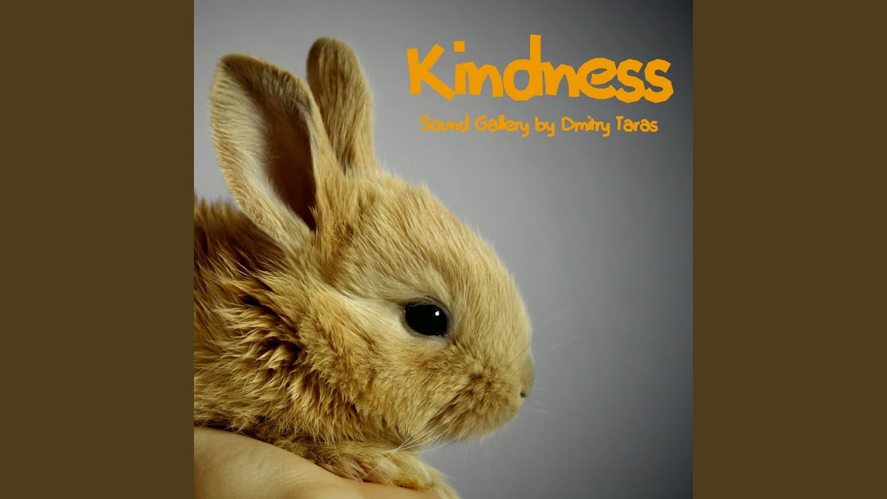 Kindness - YouTube
