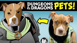 Drawing Pets as D&D Characters