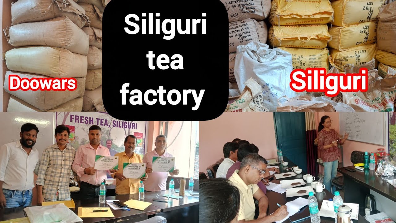 भारत के सबसे सस्ती चाय मार्केट ☕️siliguri tea factory 