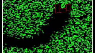 Bullet Hell - Peco Project