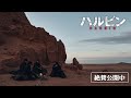 映画『ハルビン』|メッセージ付き予告編