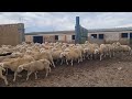 شوفو القدرة ديال الله سبحانه وتعالى 