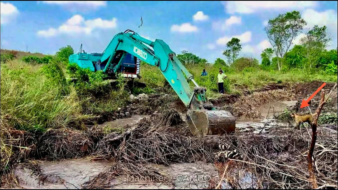 There are both people and dogs waiting to catch fish at the Excavator digging the canal