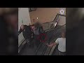 Footage shows pair of brothers slashing at police in terrifying knife rampage at shopping centre