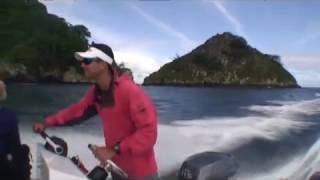 Cocos Island Adventure