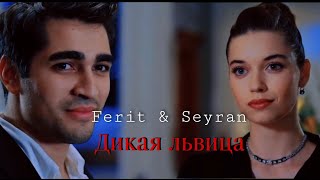 Ferit & Seyran [Дикая львица] Yalı Çapkını