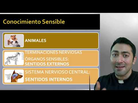 LECCIÓN 7-1 CONOCIMIENTO