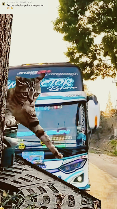 QQ SAMPAI LONCAT 😅‼️#winspector #qqtrans #kucingkaget #subscribe #shortsviral #ets2 #basuri#shorts