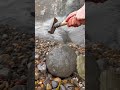 Dino hunter examines large boulder 