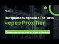 Настройка прокси в TheForks через Proxifier