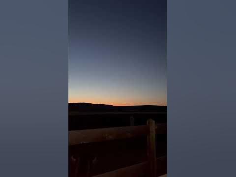 Sounds of the midwest night- coyotes howling - YouTube