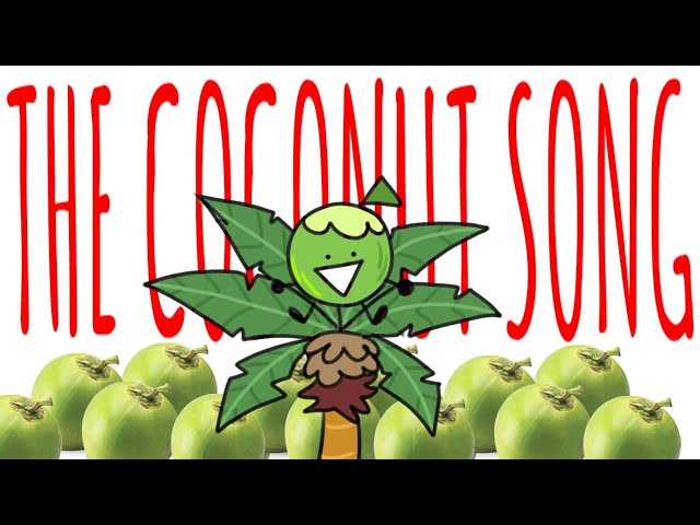 🥥🌴 THE COCONUT SONG 🌴🥥  [A Filipino Object Show 🇵🇭] class=