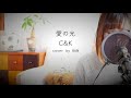 【Full】C&amp;K|愛の光(歌詞付き)cover by RUN