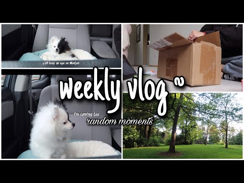 weekly vlog | random moments, new puppy, errands, nature vibes