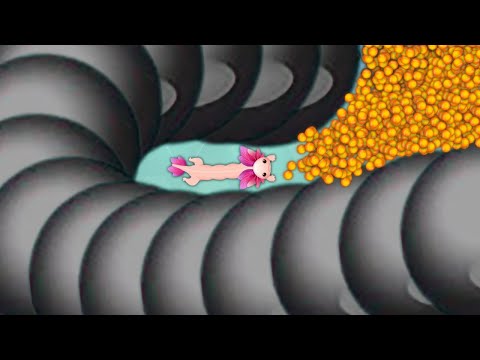 Snake.io Lovely Snake