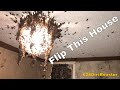 He Bought A House With Bees In It