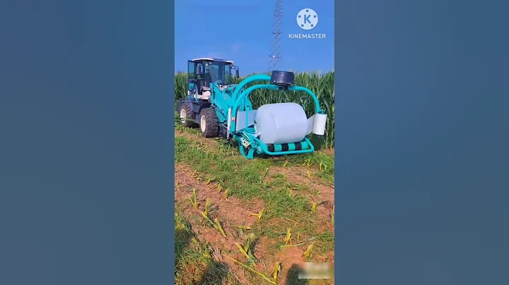 Survival Skills: SIMPLE and USEFUL#bushcraft #camping #outdoors