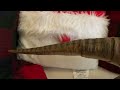 Trex stop motion