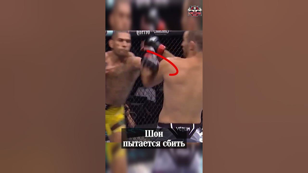 Хайкик в голову
