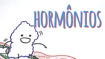 O que são hormônios e em que locais são produzidos no corpo humano?
