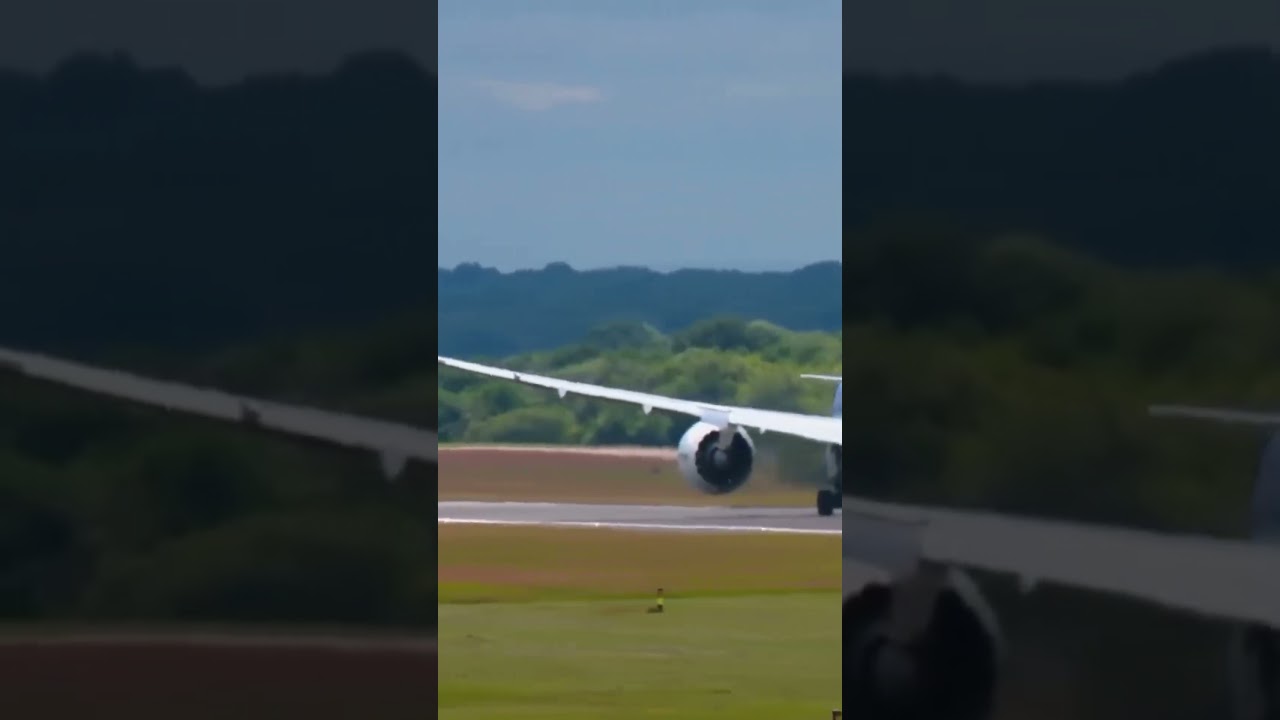 TUI B787 BIRD STRIKE TO THE ENGINE WHILE TAKING OFF 
