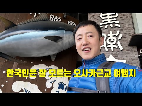 한국인 없는 오사카 근교 여행지, 와카야마시 여행팁