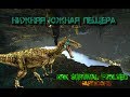 ARK Survival Evolved:(Хардкор)Новый Персонаж ))) И прохождениеНижней Южной пещеры(Артефакт Охотника)