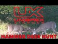 Deer down with the .50 cal Hammer from Umarex Airguns