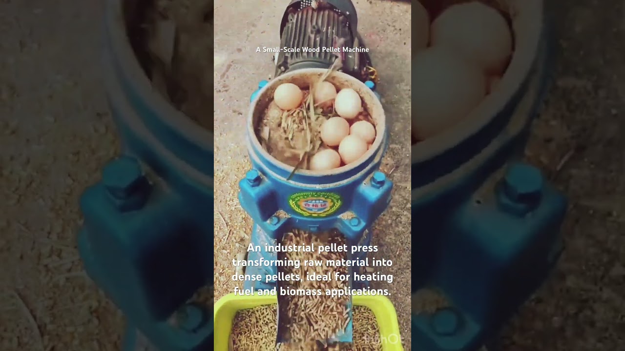 Every Farmer's Dream: High-Efficiency Feed Pelletizer