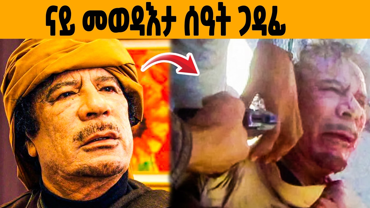 🔥ናይ መወዳእታ ሰዓት ጋዳፊ ዘይተሰምዐ ምስጢር!