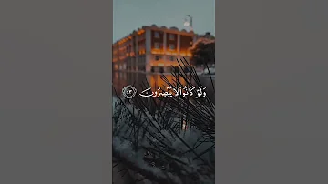 أفأنت تهدي العمي ولو كانوا لا يبصرون القارئ عبدالرحمن مسعد قرآن 
