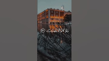 أفأنت تهدي العمي ولو كانوا لا يبصرون/ القارئ عبدالرحمن مسعد #قرآن