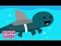Shark Song Quiz