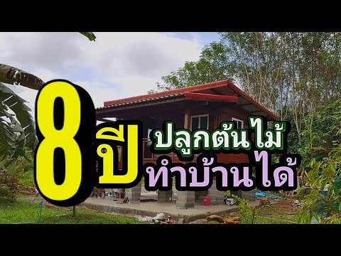 ไม้เนื้อดี 8 ปีสร้างบ้านได้ ep109