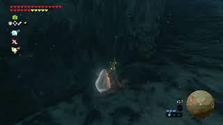 Korok freezes itself for a prank