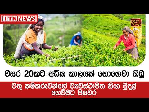 වසර 20කට අධික කාලයක් නොගෙවා තිබූ වතු කම්කරුවන්ගේ ව්‍යවස්ථාපිත හිඟ මුදල් ගෙවීමට පියවර