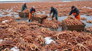 Youve Never Seen King Crab Fishing Like This Millions Caught In Mindblowing Ways fishing