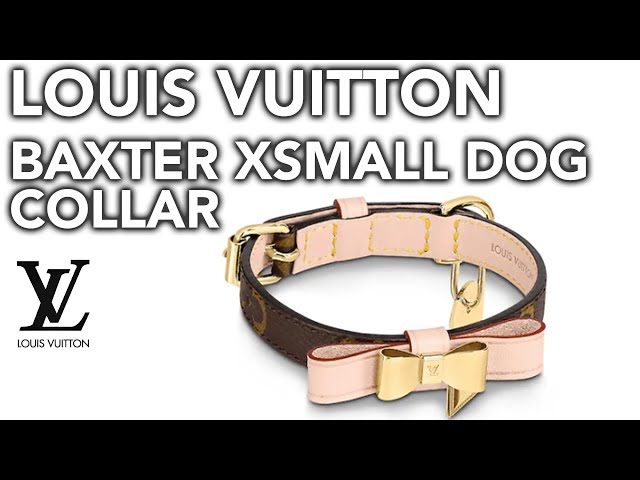 Louis Vuitton BAXTER XSMALL DOG COLLAR