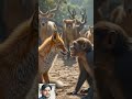 #aivideo #ytshorts