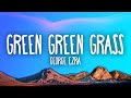 George ezra  green green grass