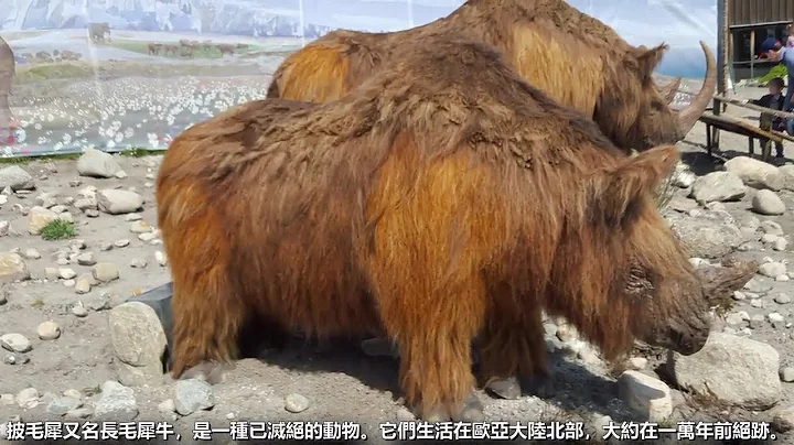 11种可能被复活的灭绝动物 - 天天要闻